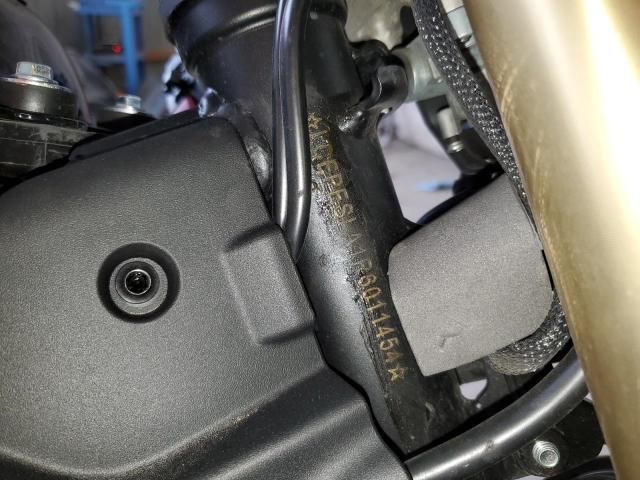 2024 Cf Moto 450SS