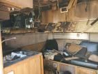 2007 Lako TA Horse Trailer