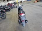 2021 Genuine Scooter Co. Buddy 125