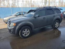 2011 Ford Escape xlt en venta en Moncton, NB
