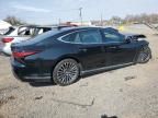 2024 Lexus LS 500