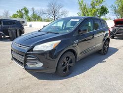 2014 Ford Escape SE en venta en Bridgeton, MO