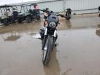 2024 Harley-Davidson RH975 S