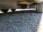 2007 Lako TA Horse Trailer