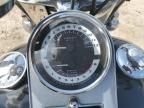 2006 Harley-Davidson Flstci