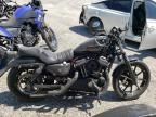 2020 Harley-Davidson XL883 N
