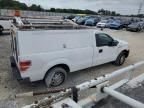 2010 Ford F150