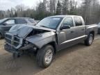 2007 Dodge Dakota Quattro