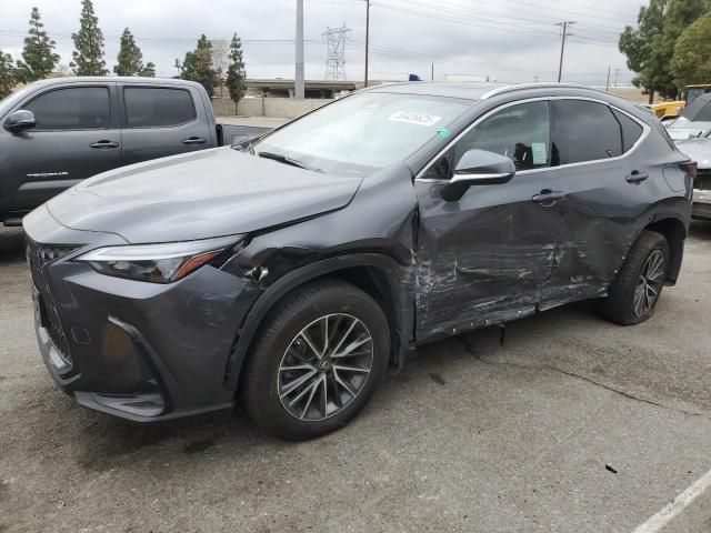 2023 Lexus NX 350H