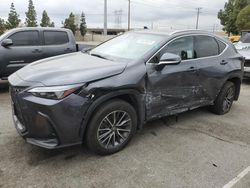 2023 Lexus NX 350H en venta en Rancho Cucamonga, CA