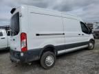 2024 Ford Transit T-250