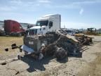 2021 Freightliner Cascadia 126