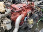 2024 International LT625 Semi Truck