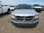 2008 Dodge Dakota Quattro