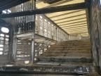 2019 Wilson Psdcl-402BP Livestock Trailer