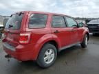 2011 Ford Escape XLS