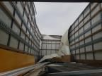 2019 International 4000 4300