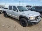 2008 Dodge Dakota Quattro