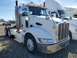 Salvage trucks for sale at American Canyon, CA auction: 2013 Peterbilt 384