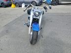 2025 Harley-Davidson Flfb