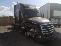 2021 Freightliner Cascadia 126 en venta en Thonotosassa, FL