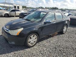 2010 Ford Focus sel for sale in Thonotosassa, FL
