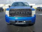 2010 Ford F150