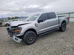 2025 Ford F150 Tremor