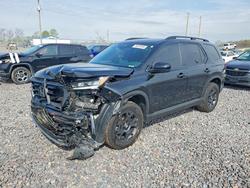 2025 Honda Pilot Trailsport for sale in Cicero, IN