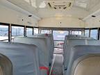 2010 Thomas Minotour G3500-School Bus