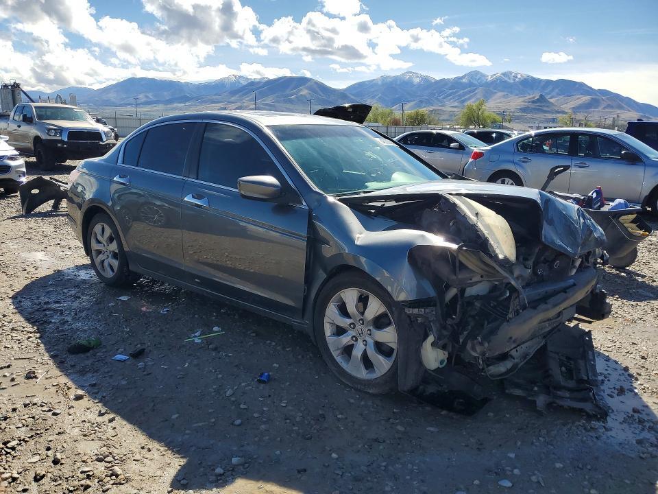 2010 Honda Accord exl