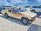 1984 Toyota Pickup Base