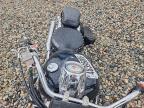 2005 Suzuki C50