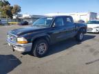 2004 Dodge Dakota Quad SLT