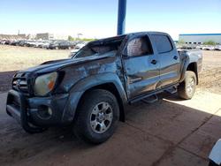 Salvage trucks for sale at Phoenix, AZ auction: 2011 Toyota Tacoma V6