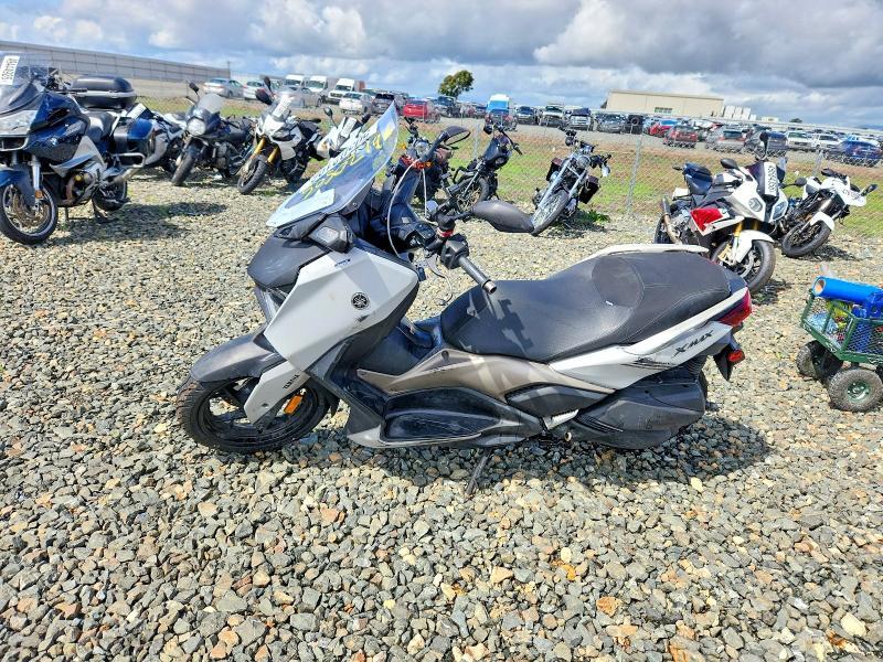 2023 Yamaha CZD300 A