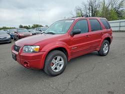 Ford salvage cars for sale: 2006 Ford Escape hev