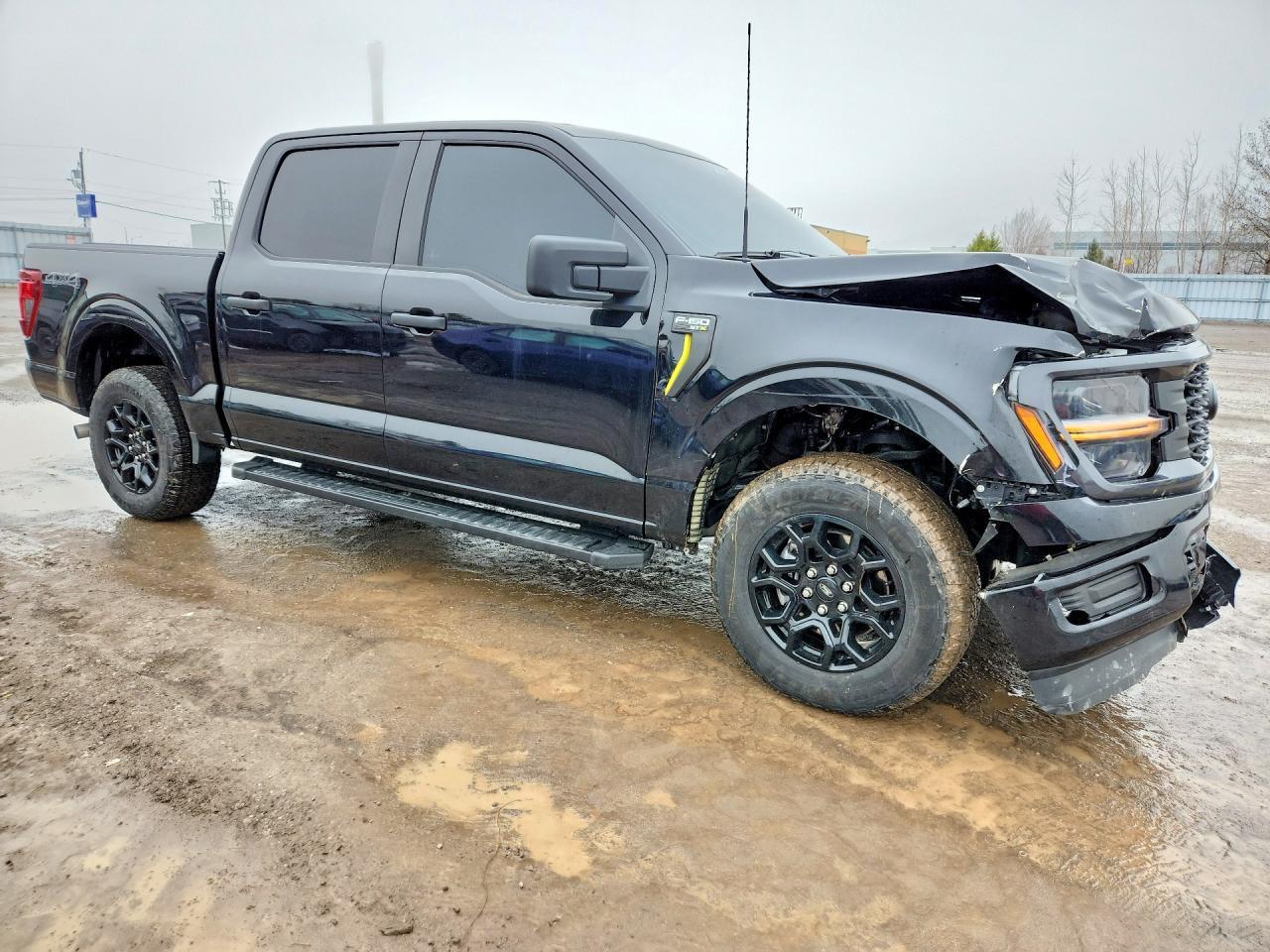 2025 Ford F150 STX