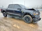 2025 Ford F150 STX