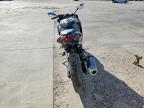 2025 Kawasaki EX500 H