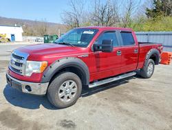 Salvage cars for sale from Copart Grantville, PA: 2013 Ford F150 Supercrew