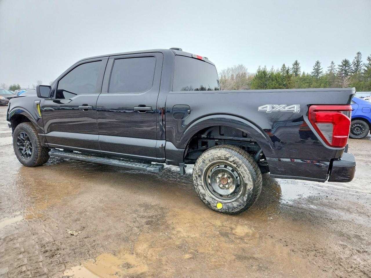 2025 Ford F150 STX