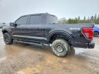 2025 Ford F150 STX