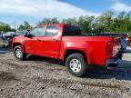 2019 Chev Colorado