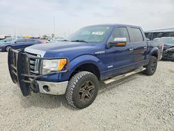 Salvage trucks for sale at Brighton, CO auction: 2012 Ford F150 Supercrew