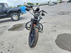 2020 Harley-Davidson XL883 N