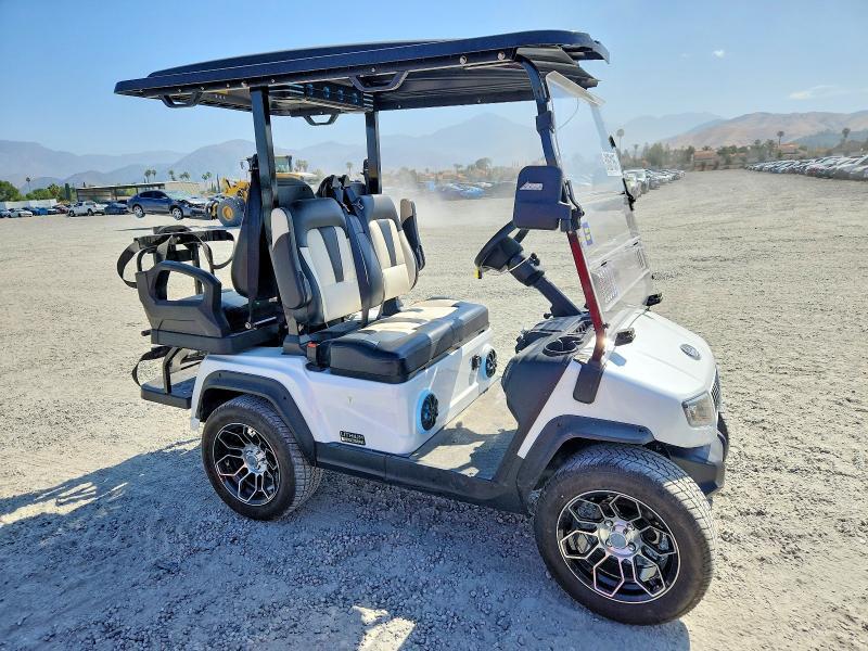 2025 Evolution 2025 Golf Cart