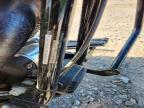 2006 Harley-Davidson Flstfi