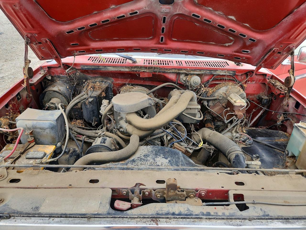 1986 Ford F150