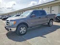 Ford salvage cars for sale: 2013 Ford F150 Supercrew